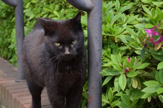 Dsc_0061 Dsc_0061