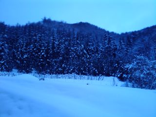 20100102_155244 20100102_155244