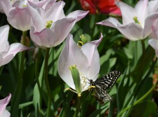 2dsc_0021 2dsc_0021