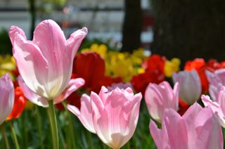 6dsc_0029 6dsc_0029