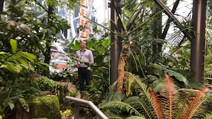 Amazonsphere Amazonsphere