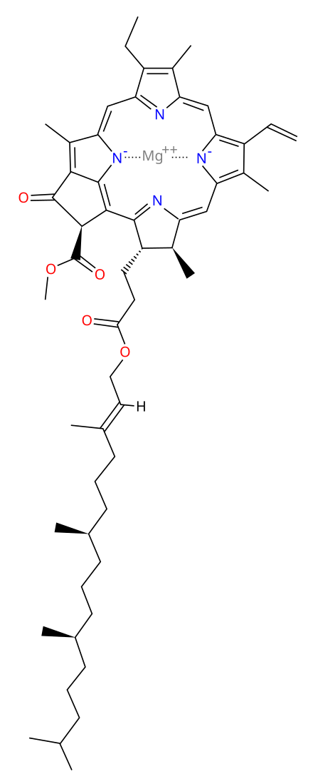 Chlorophyll_asvg Chlorophyll_asvg