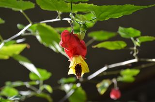 Dsc_0117_2