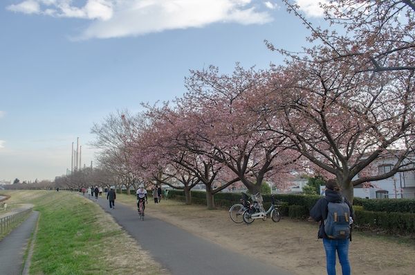 Dsc_0171 Dsc_0171