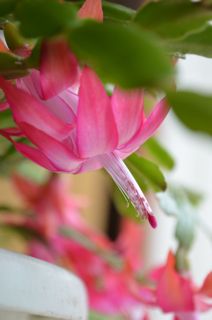 Dsc_0221 Dsc_0221