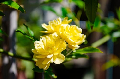 Dsc_0224 Dsc_0224