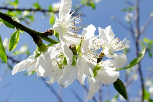 Dsc_0648 Dsc_0648