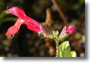 Dsc_0669_1shadow