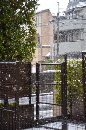 Dsc_0770 Dsc_0770
