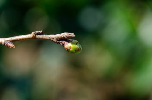Dsc_0793 Dsc_0793