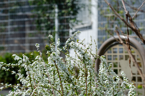 Dsc_0805 Dsc_0805
