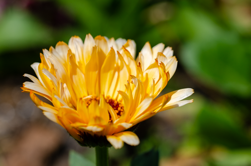Dsc_0806 Dsc_0806