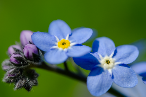 Dsc_0810 Dsc_0810