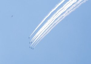 Dsc_0826 Dsc_0826