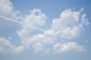 Dsc_0827 Dsc_0827