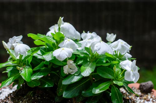 Dsc_0892 Dsc_0892