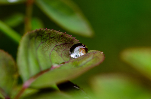 Dsc_09401 Dsc_09401