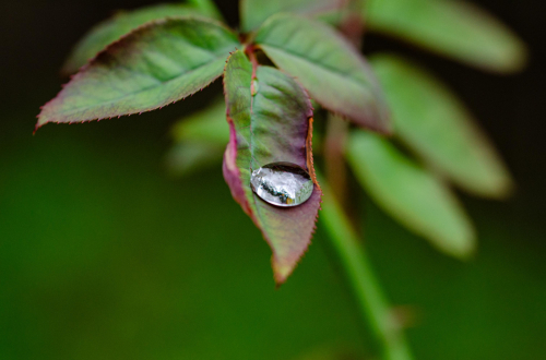 Dsc_09461 Dsc_09461