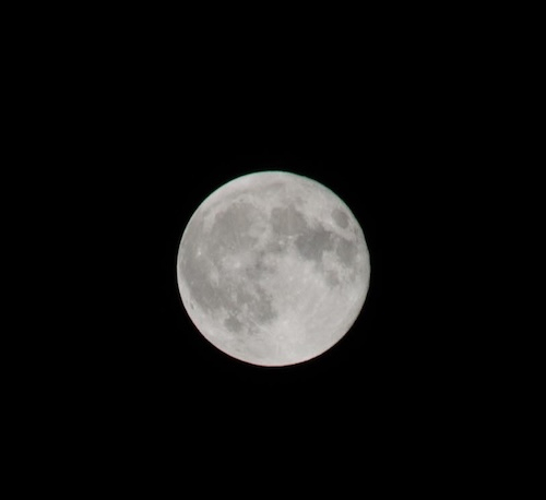 Dsc_0979 Dsc_0979