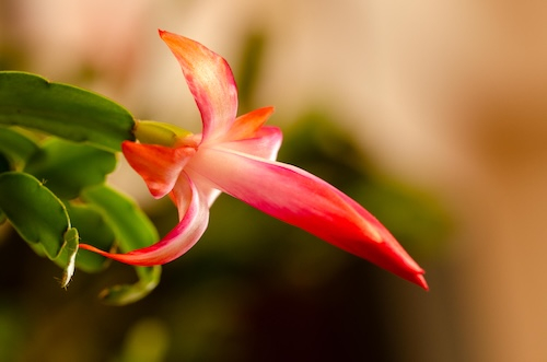 Dsc_1073 Dsc_1073
