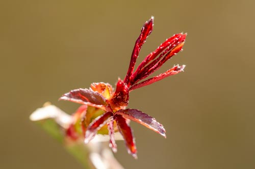 Dsc_1141 Dsc_1141