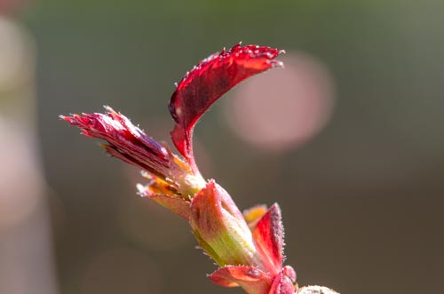 Dsc_1146 Dsc_1146