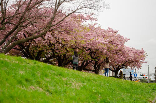 Dsc_1176 Dsc_1176