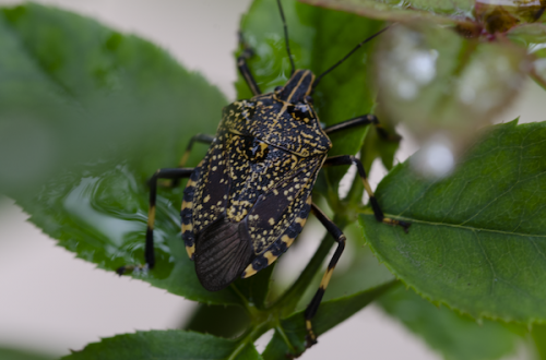 Dsc_1353 Dsc_1353