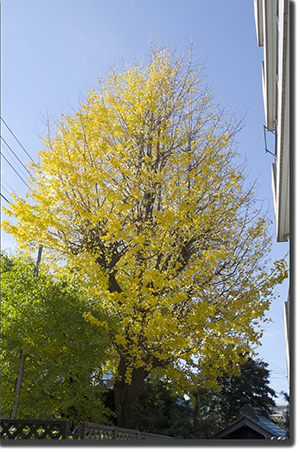 Dsc_15951