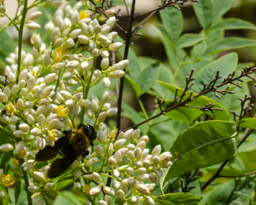 Dsc_1630 Dsc_1630