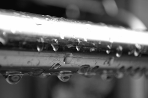 Dsc_19671 Dsc_19671