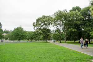 Dsc_3223 Dsc_3223