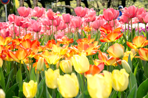 Dsc_3427edit Dsc_3427edit