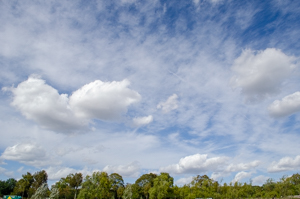 Dsc_4249 Dsc_4249