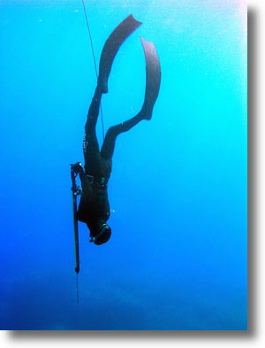 Free_dive_3shadow Free_dive_3shadow