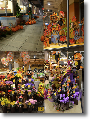Hallowenshadow Hallowenshadow