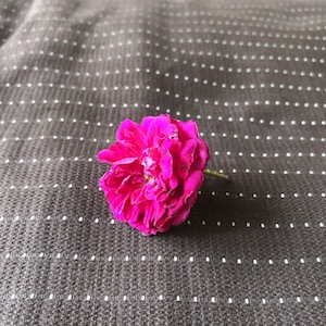 Img_0952 Img_0952