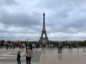 Img_1269 Img_1269