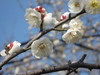 Img_1481 Img_1481