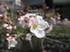 Img_1542 Img_1542