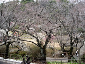Img_20701 Img_20701