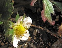 Img_20841