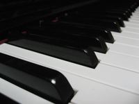 Img_2085 Img_2085