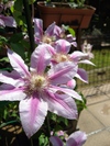 Img_22591 Img_22591