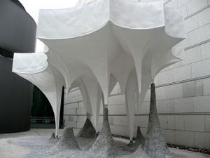 Img_2856
