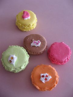 Img_2939_2 Img_2939_2