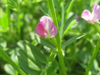 Img_3253 Img_3253