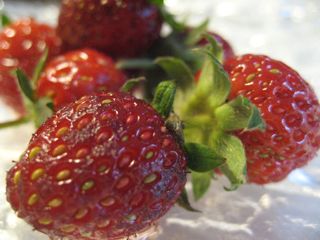 Img_3288_2 Img_3288_2