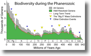 Phanerozoic_biodiversityshadow Phanerozoic_biodiversityshadow